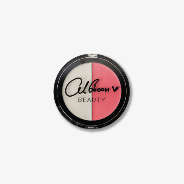2 IN 1 TINT AND TEXTURE CREAM PALETTE